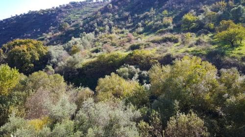 Militello Albergo Diffuso