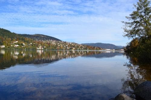 Chalet Des 2 Etangs