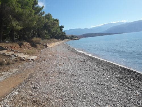 Elea Guesthouse