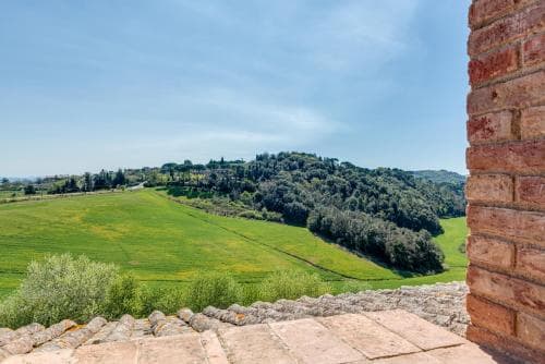 Bosco della Spina