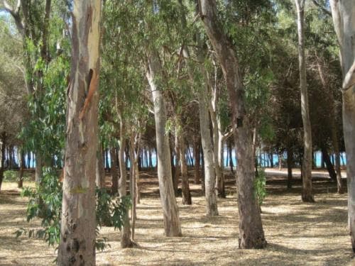 B&B Eraclea Minoa Mare