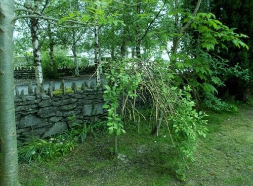 Willow Lodge