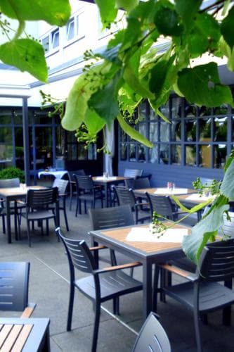 An der Linde