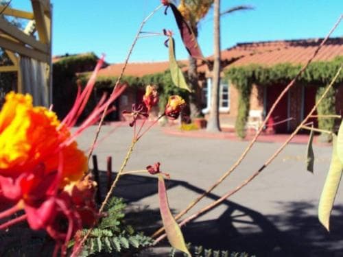 La Siesta Motel
