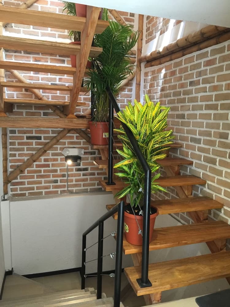 Bambu Sierra