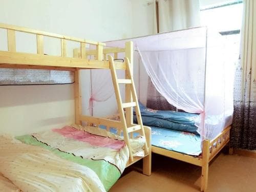 A cozy hostel room features wooden bunk beds with colorful bedding and mosquito nets, creating a welcoming atmosphere for budget travelers seeking comfortable accommodations.