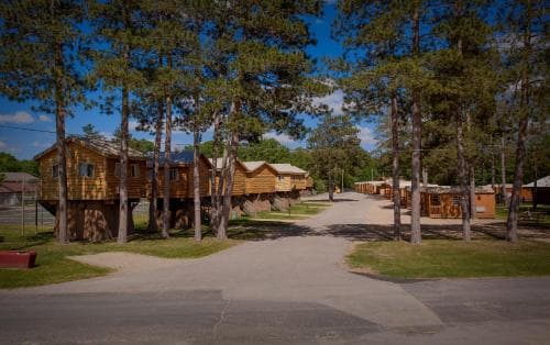 American Resort