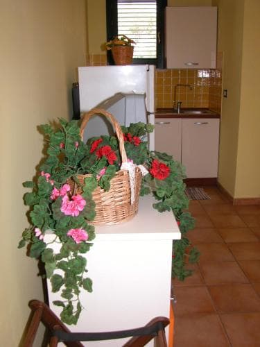 Perla Rosa