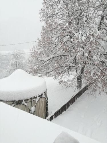 B&B Casa Dell'Orso