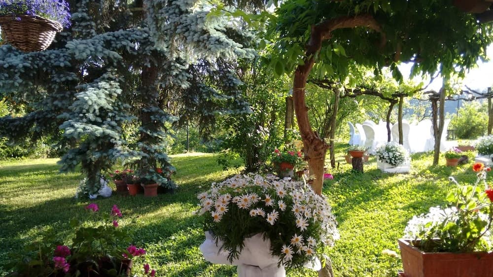 Il Dovese B&B