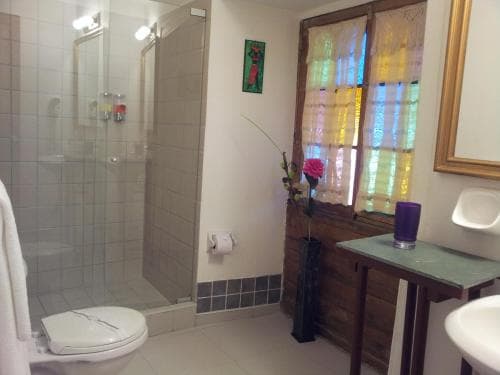 A cozy bathroom with a glass shower enclosure, colorful curtains on the window, and a small table with flowers creates a warm and inviting atmosphere, ideal for travelers seeking comfort in their accommodations.