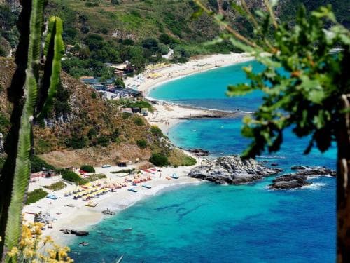 Hortis Tropea