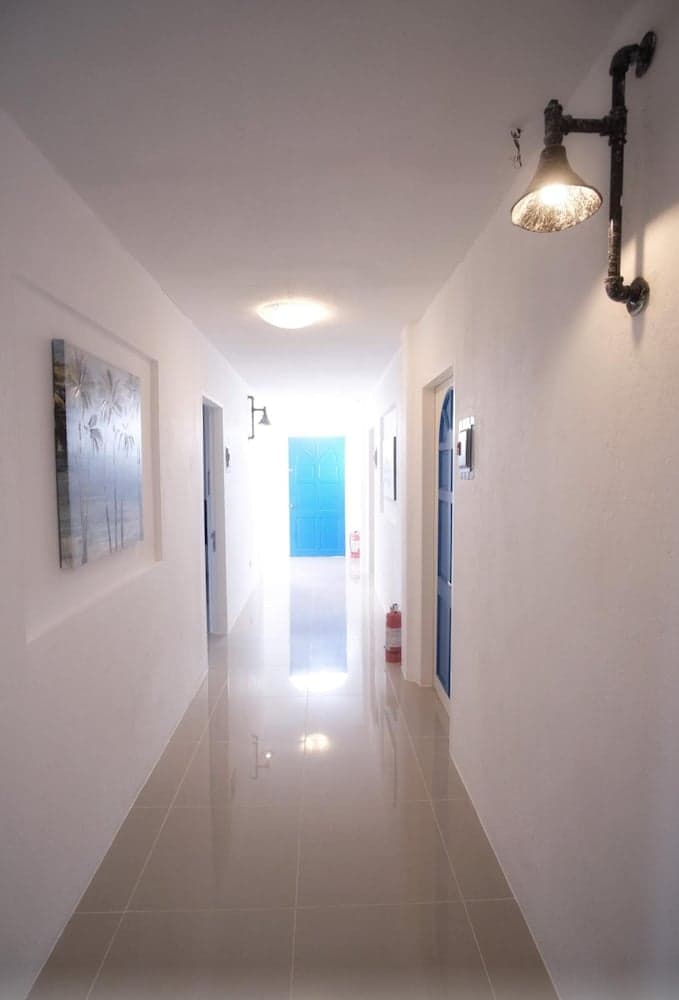 D  Gecko Hotel