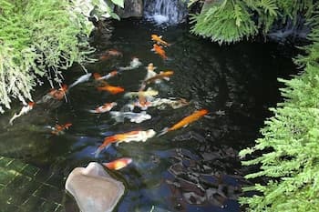 Baan Suay Jan
