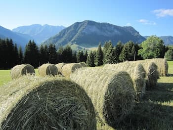 Chalet La Licorne