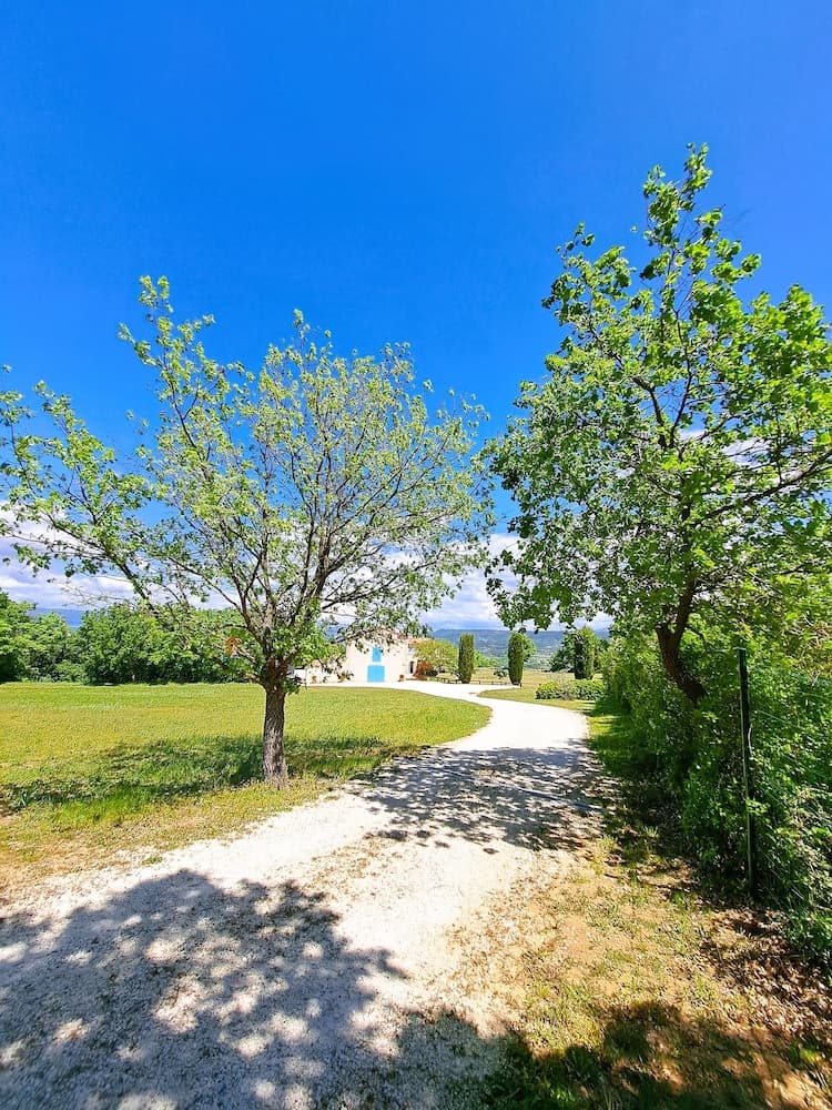 A serene rural path lined with lush green trees leads to a charming house under a vibrant blue sky, ideal for travelers seeking peaceful countryside retreats.