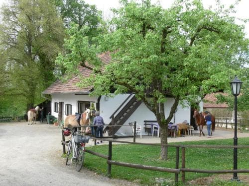 Birkenhof