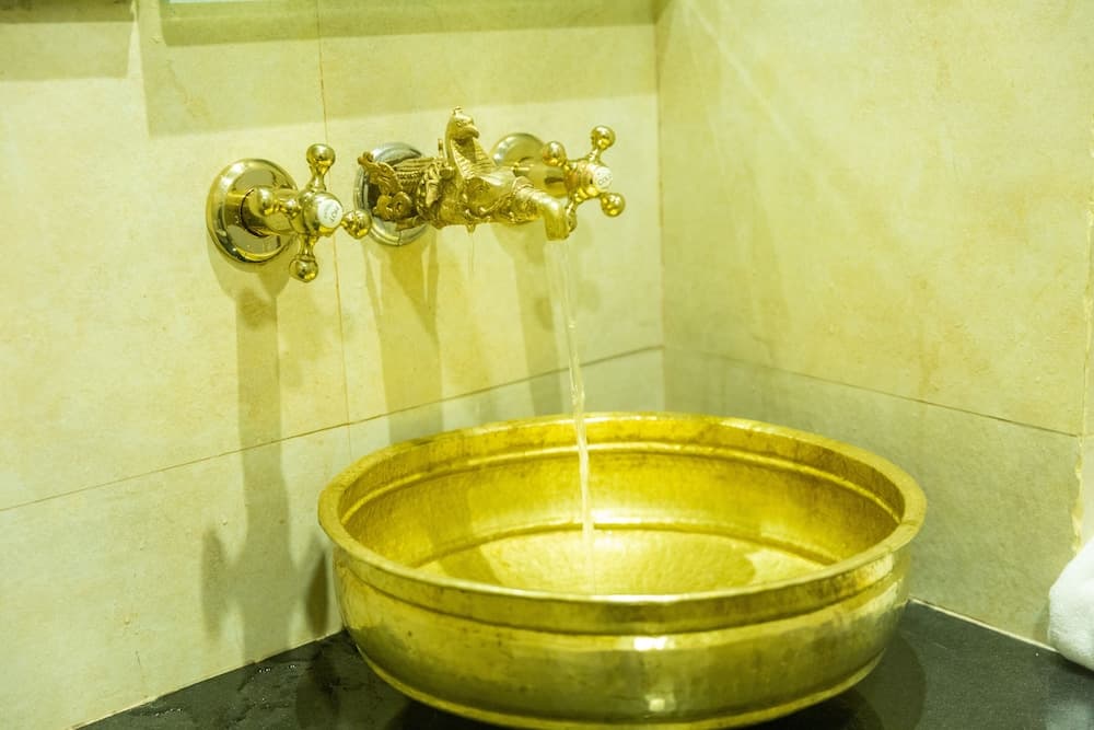 Darbar Heritage Inn