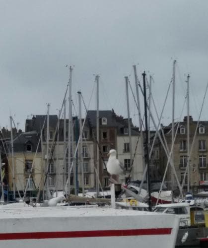 Egg Hotel Dieppe