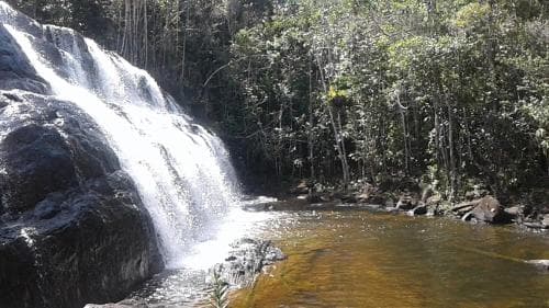 Makahas
