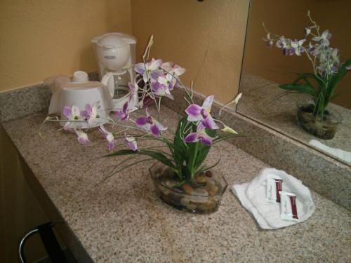 Inn Cheraw