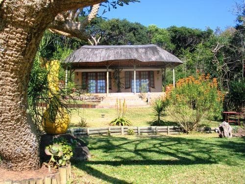 Palm Cottage