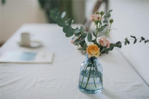 Blooming Appetite