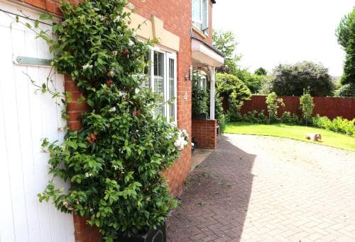 A serene suburban garden pathway lined with lush greenery and a brick house, ideal for a peaceful getaway or family vacation.