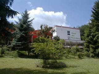Am Rosenberg