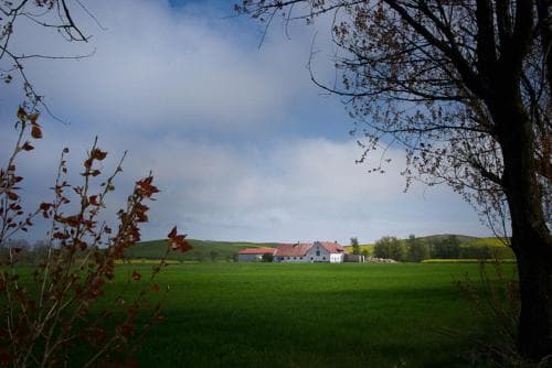 B&B Vinkille