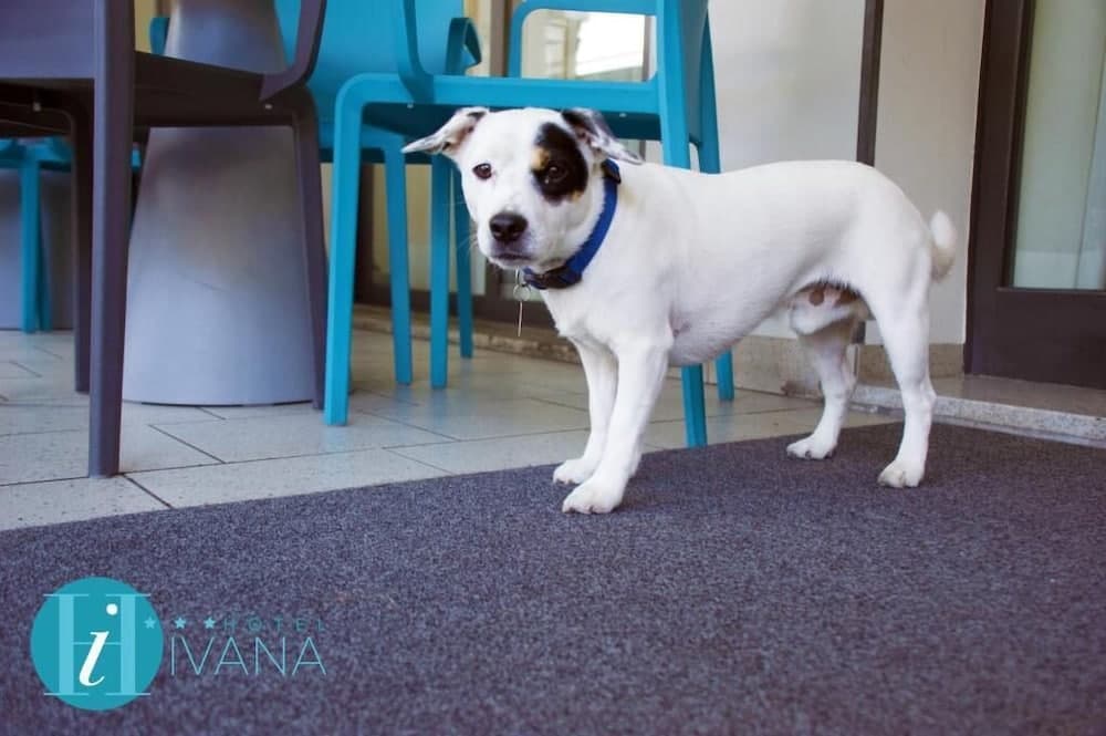 Hotel Ivana