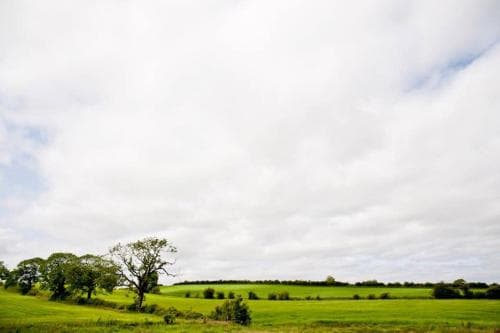 Bamflatt Farm Bed & Breakfast