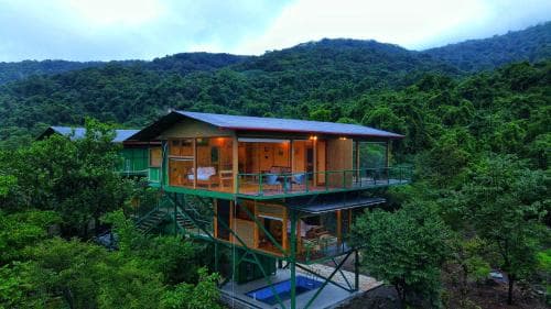 The Arboreal Resort