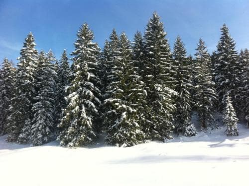 Alpenvilla Berchtesgaden