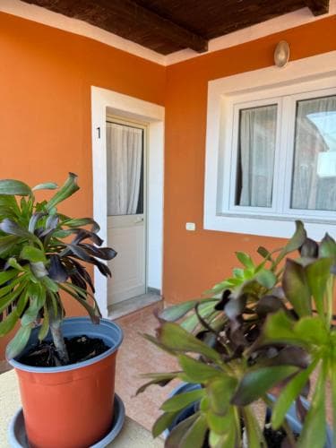A cozy outdoor patio with vibrant orange walls, lush potted plants, and a wooden ceiling creates a warm and inviting atmosphere, perfect for travelers seeking a serene retreat.