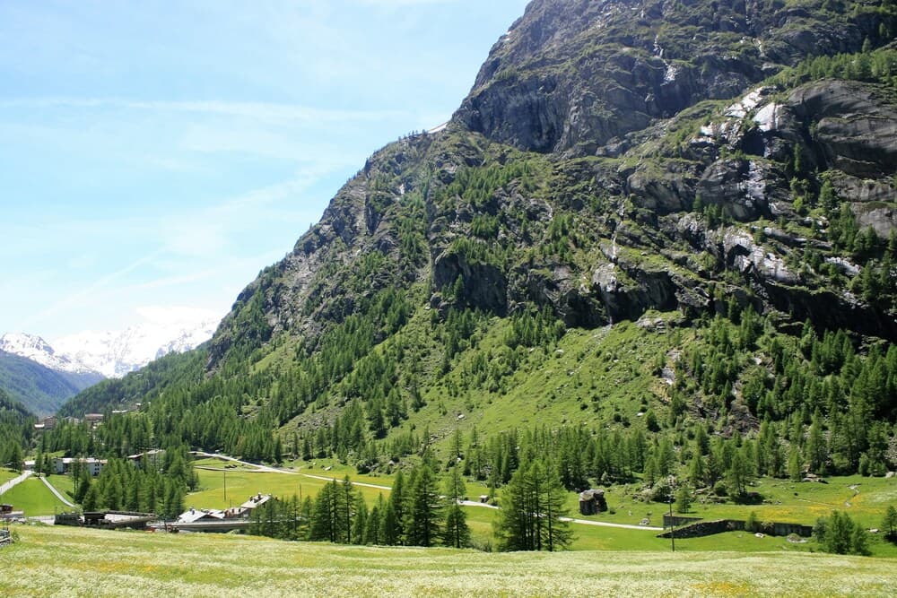 Maison Des Myrtilles