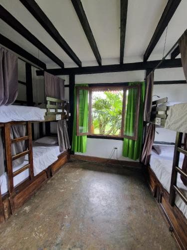 Coffee Tree Boutique Hostel
