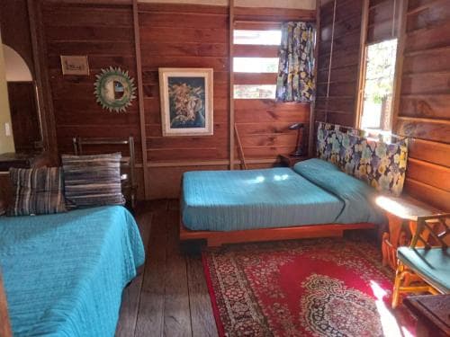 A cozy cabin bedroom with wooden walls, two teal beds, a vibrant rug, and eclectic decor invites travelers seeking a rustic retreat.