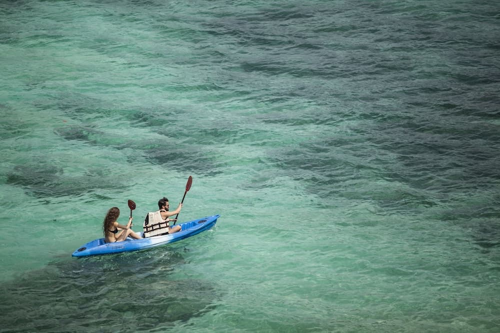 The Cliff Lipe