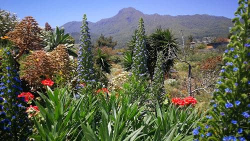 Finca Primavera
