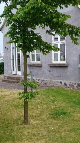 Færgegården