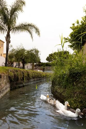 Hotel Poseidonia Mare
