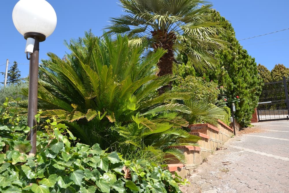 Il Bed & Breakfast Due Fontane