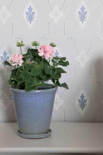 Agda Lund Bed & Breakfast