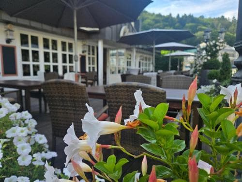 Parkhotel Idar Oberstein