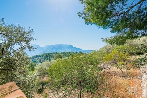 Oliveret Des Puig