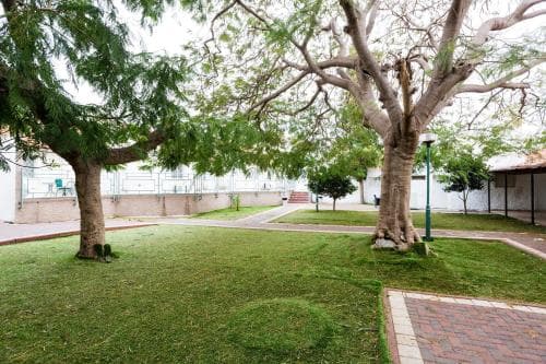 A serene park scene features lush green grass, towering trees, and a brick pathway, ideal for a peaceful stroll or relaxation in an urban oasis.