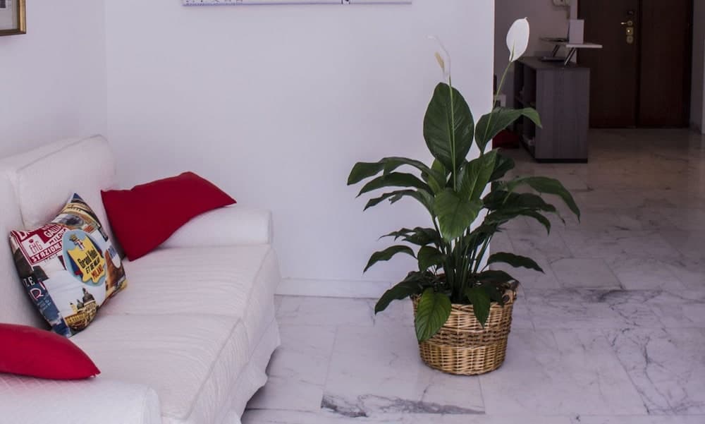 Domus Raffaello Suite