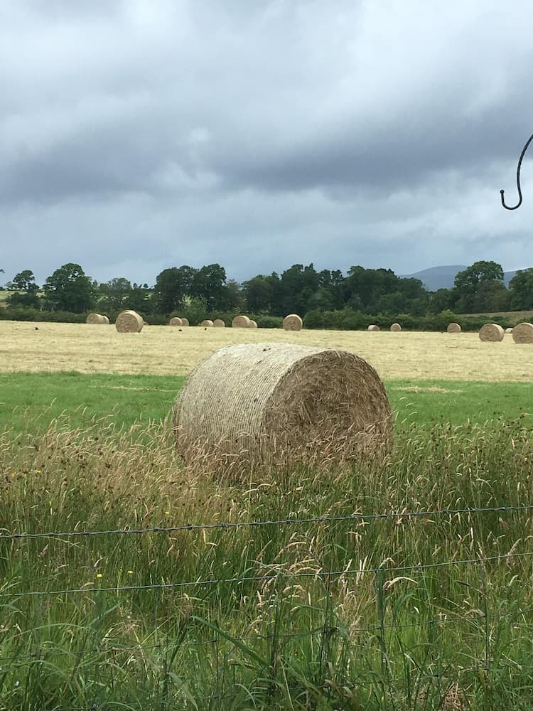 Ardoch Cottage B&B