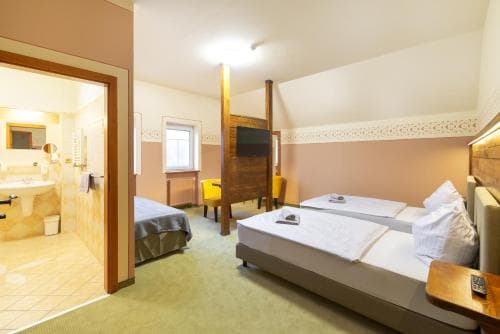 Hotel U Simla